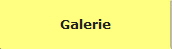 Galerie